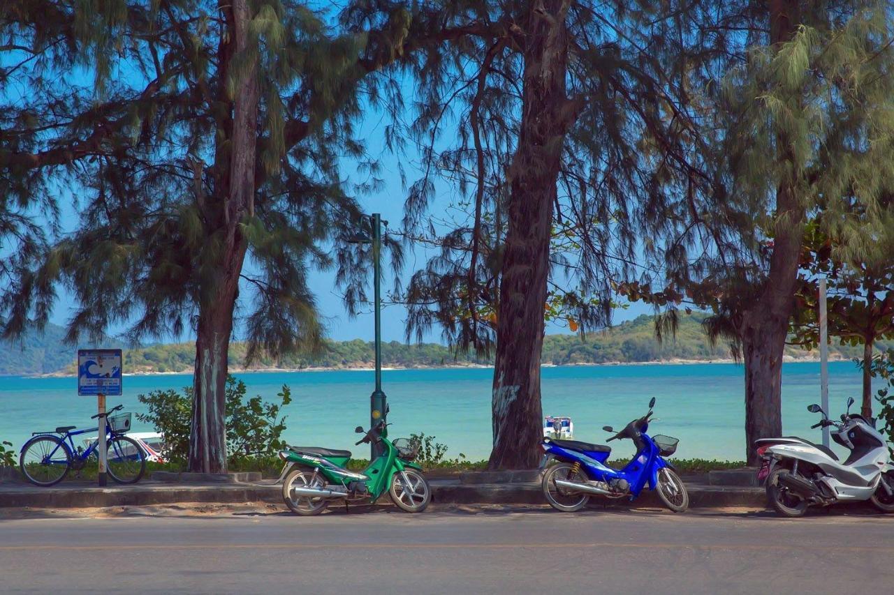 The Title By Tropiclook *