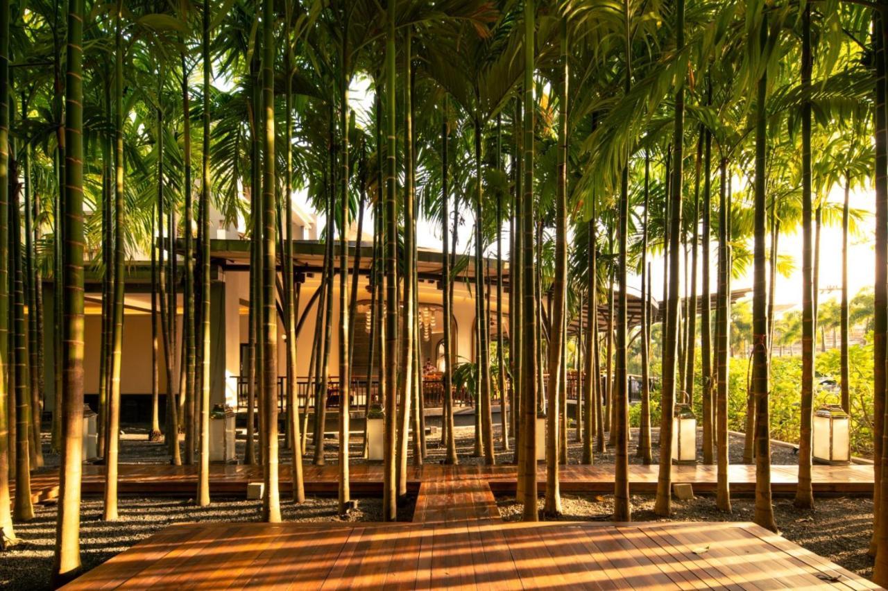 Areca And Kathu
