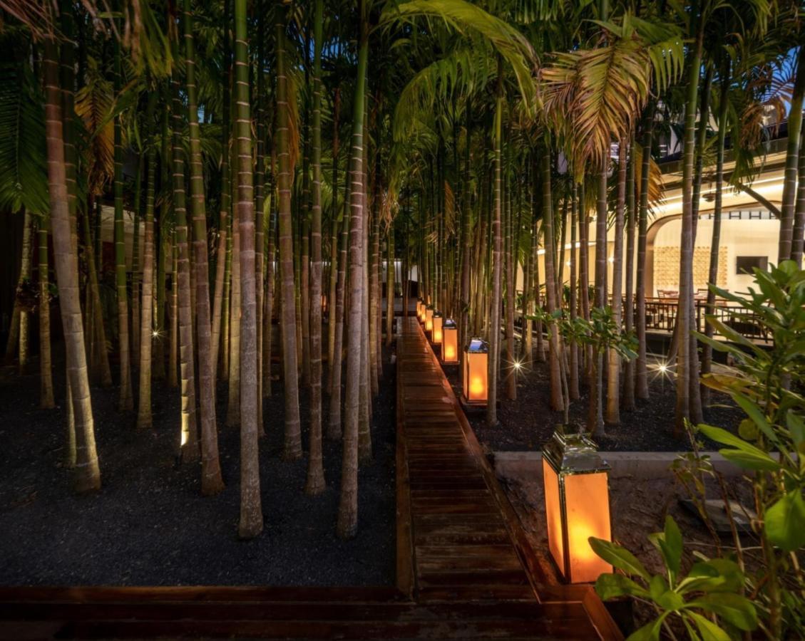 Hotel Areca And