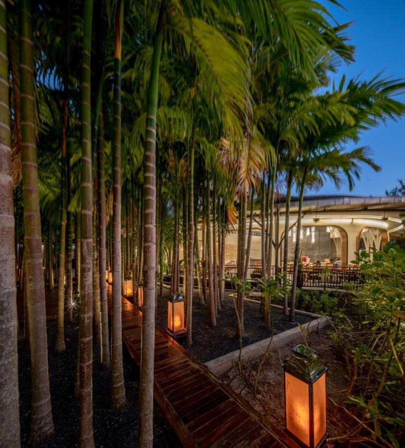 Areca And 5* Kathu