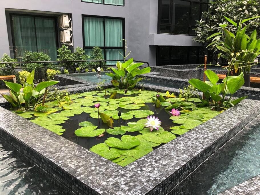P67 Exclusive Junior Apartment *