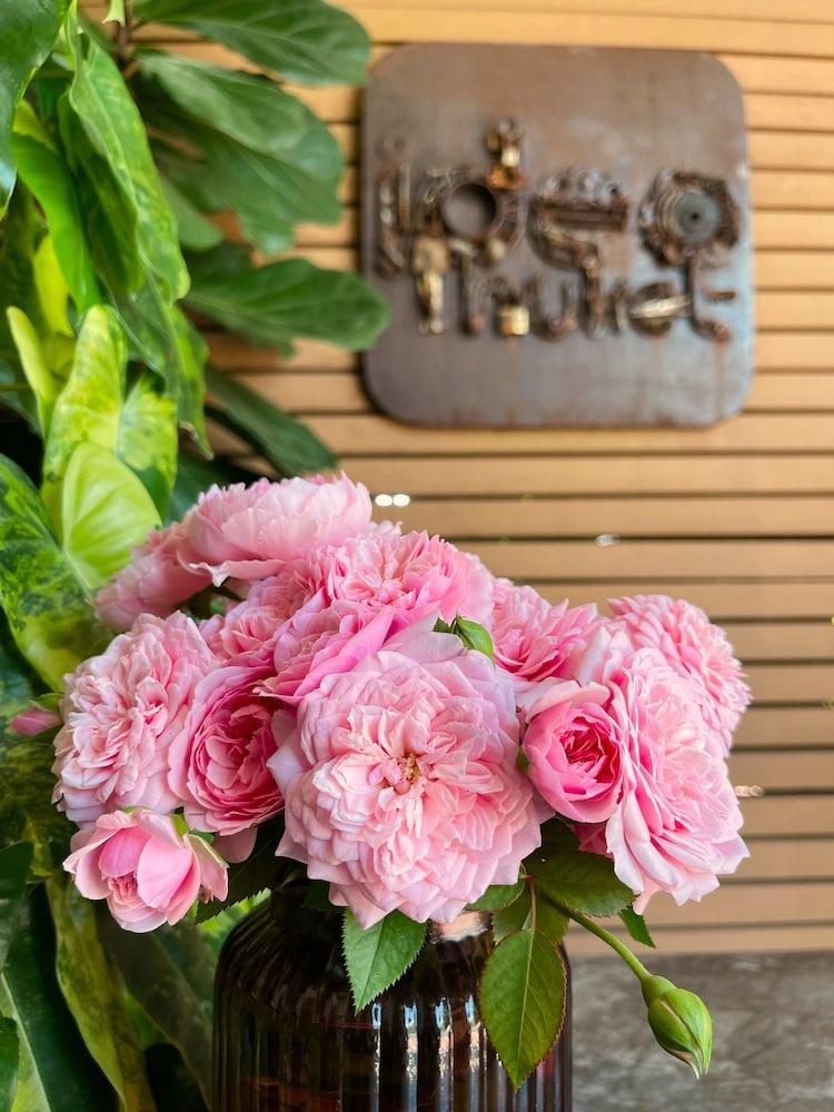 Hotel Ideo Phuket - Sha Extra Nai Yang
