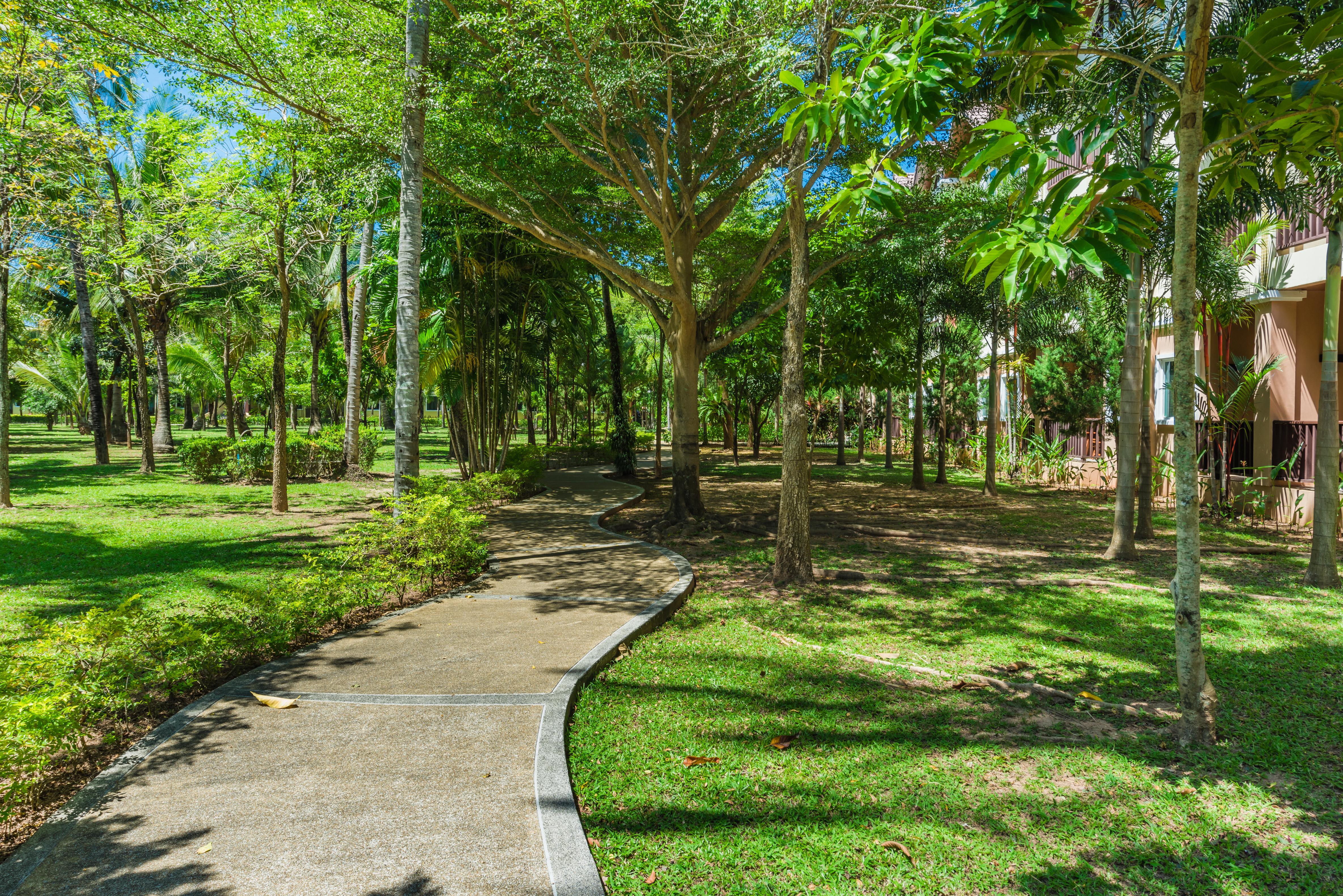 Duangjitt And Spa - Sha Plus Resort Patong