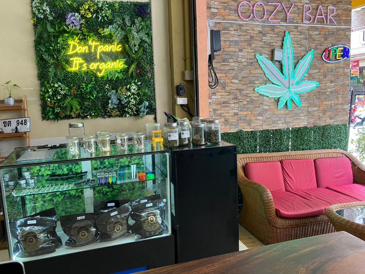 Cozy Place - Free Weeds Acomodação com café da manhã  *