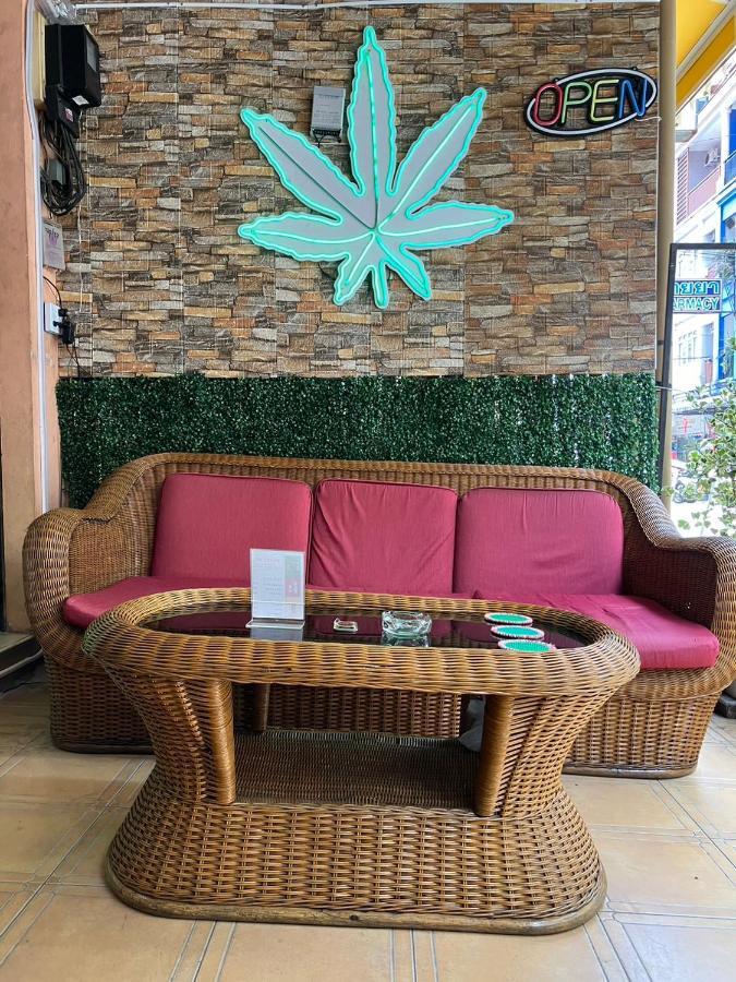 Cozy Place - Free Weeds