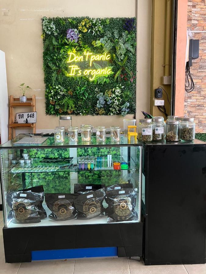 Acomodação com café da manhã  Cozy Place - Free Weeds *