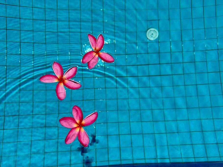 Villa Ginger With Private Pool Bang Tao Phuket