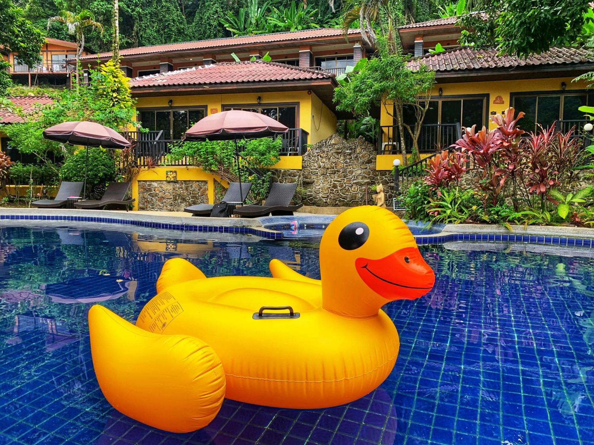 Beautiful Pool Homestay Patong