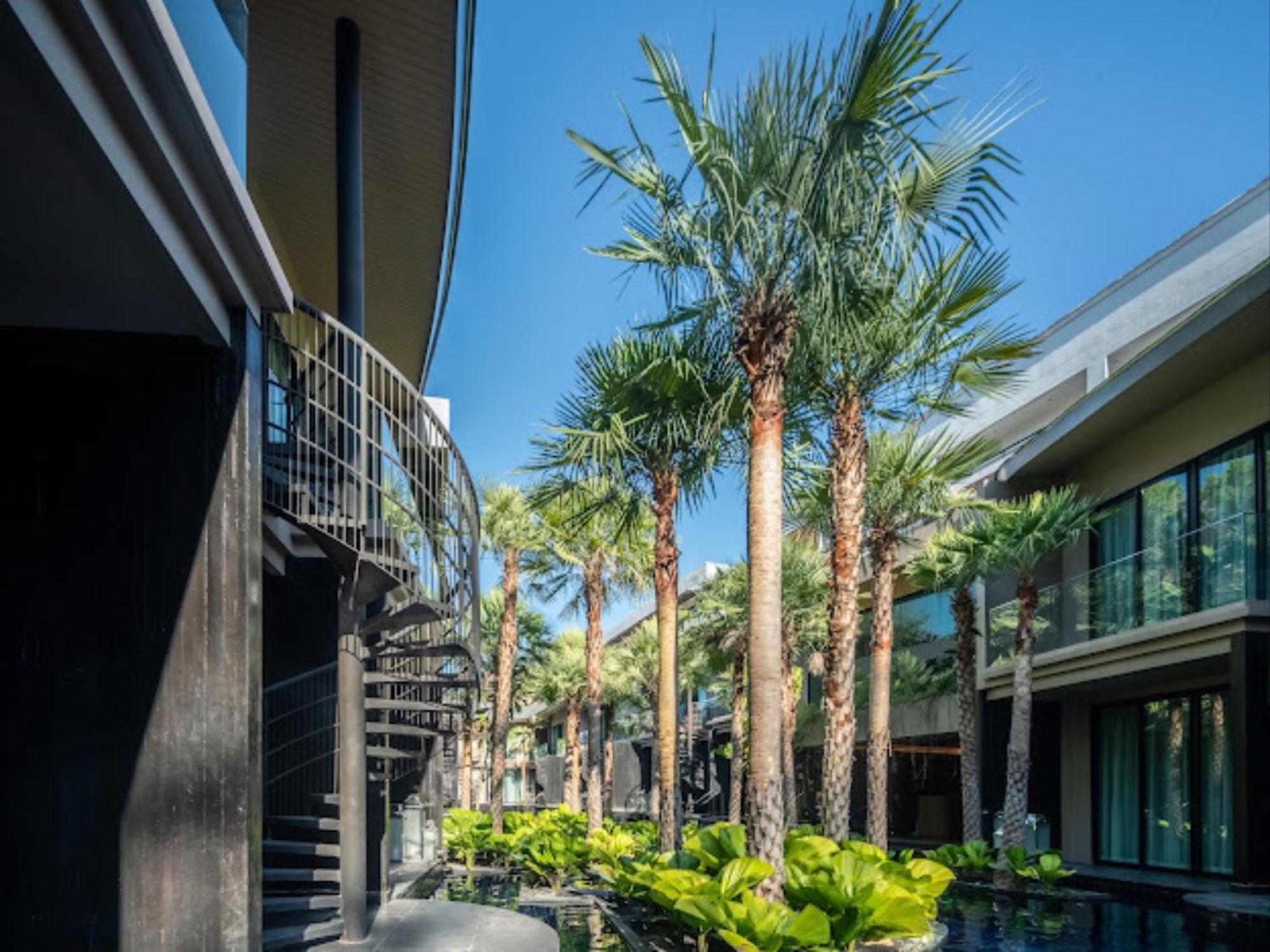 Areca And