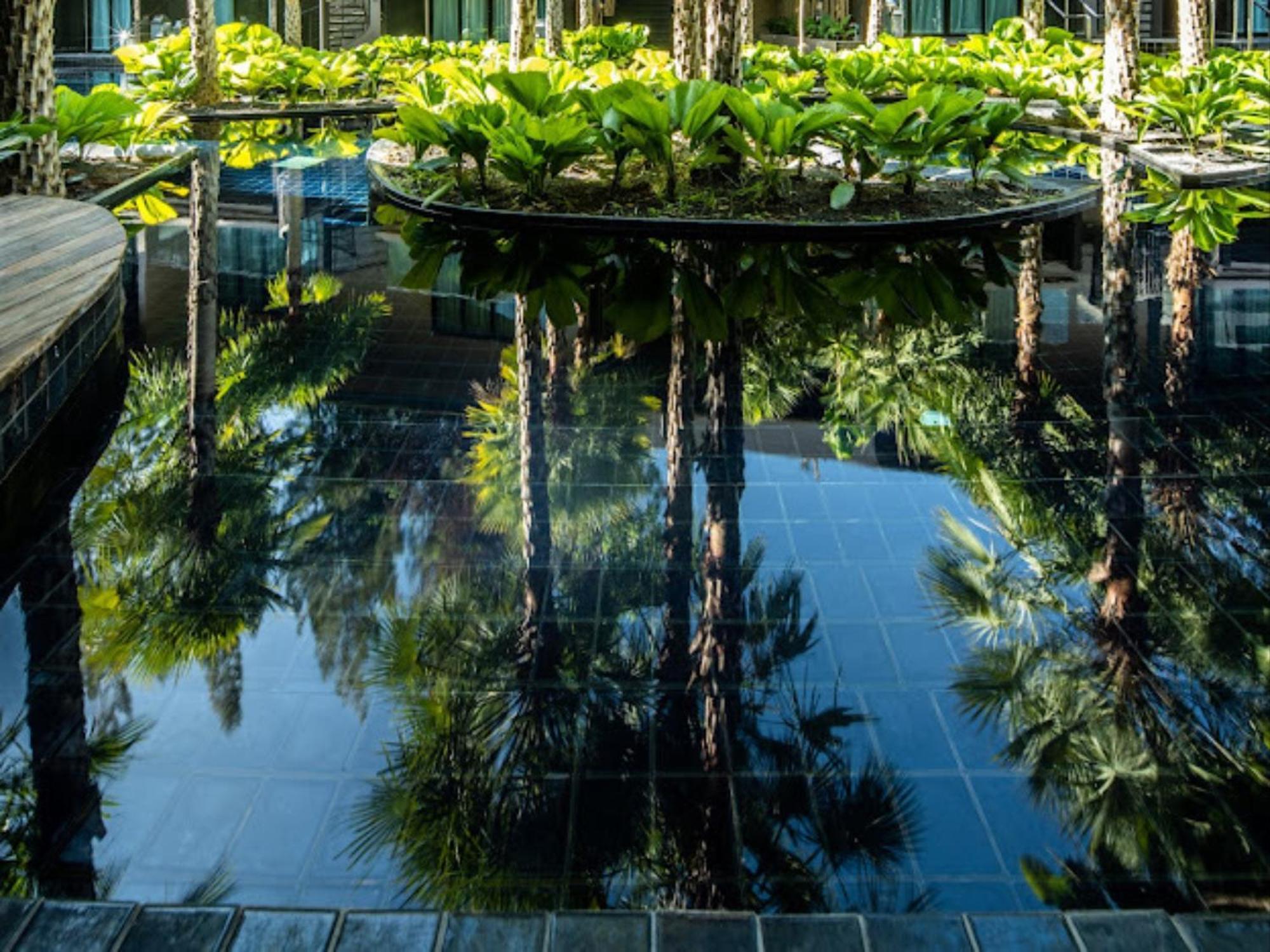Areca And Hotel 5*