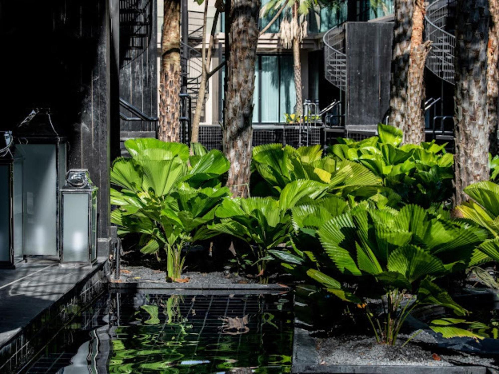 Areca And Hotel 5*