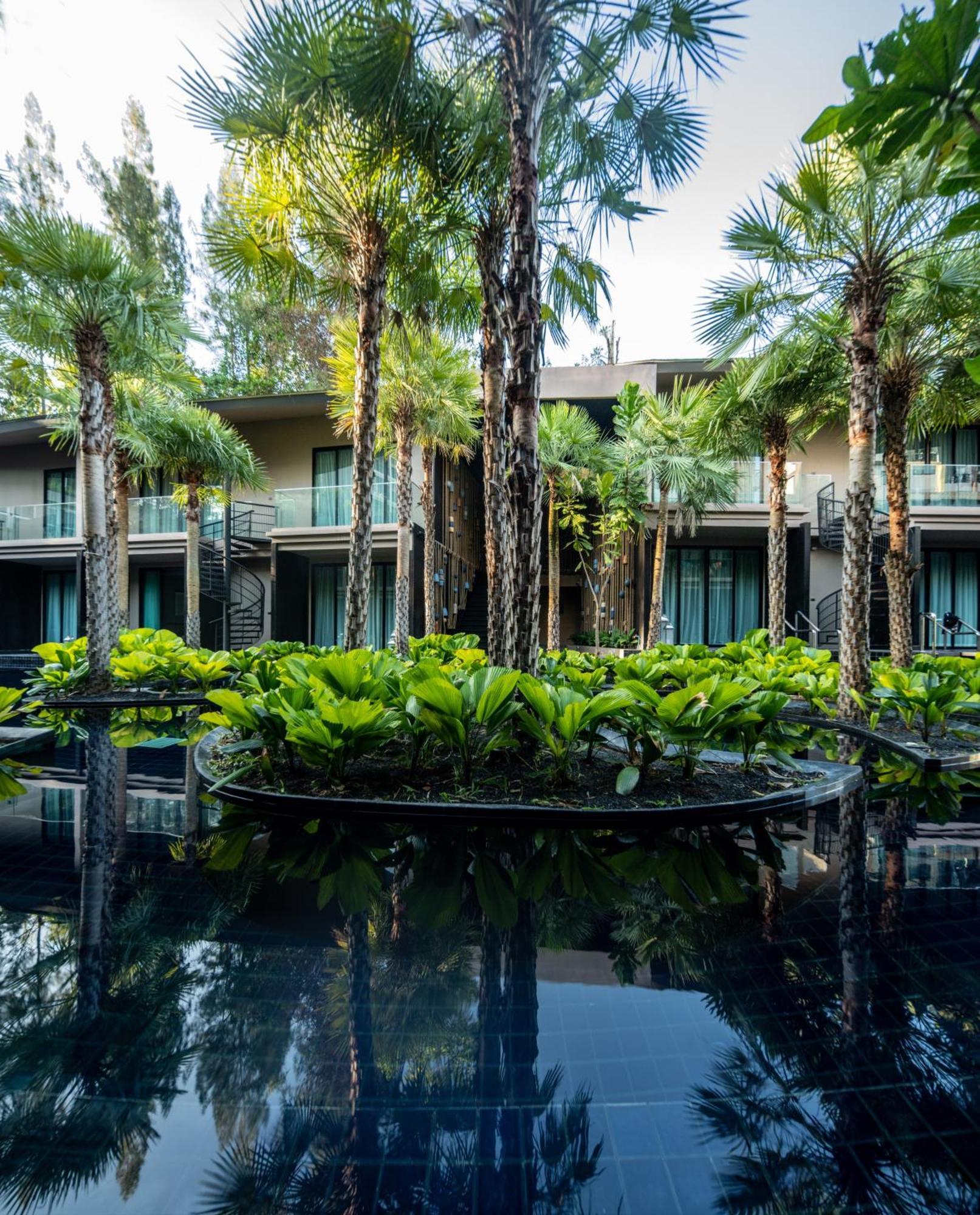 Areca And 5* Kathu