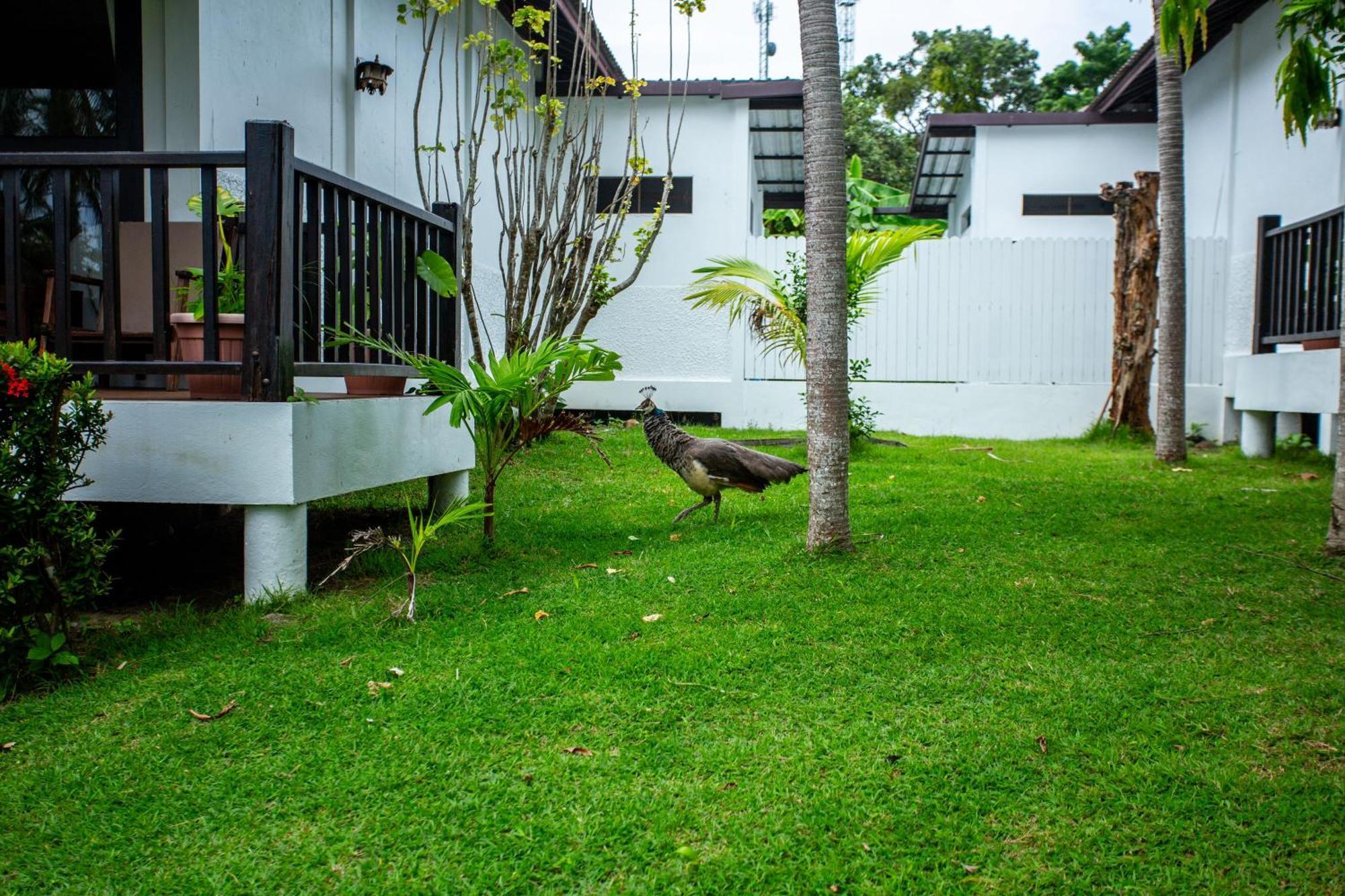 Ban Raya And Hotel Koh Racha Yai