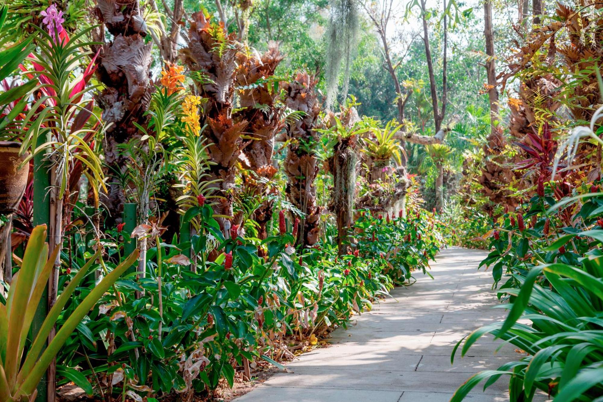 Thavorn Palm Phuket - Sha Extra Karon