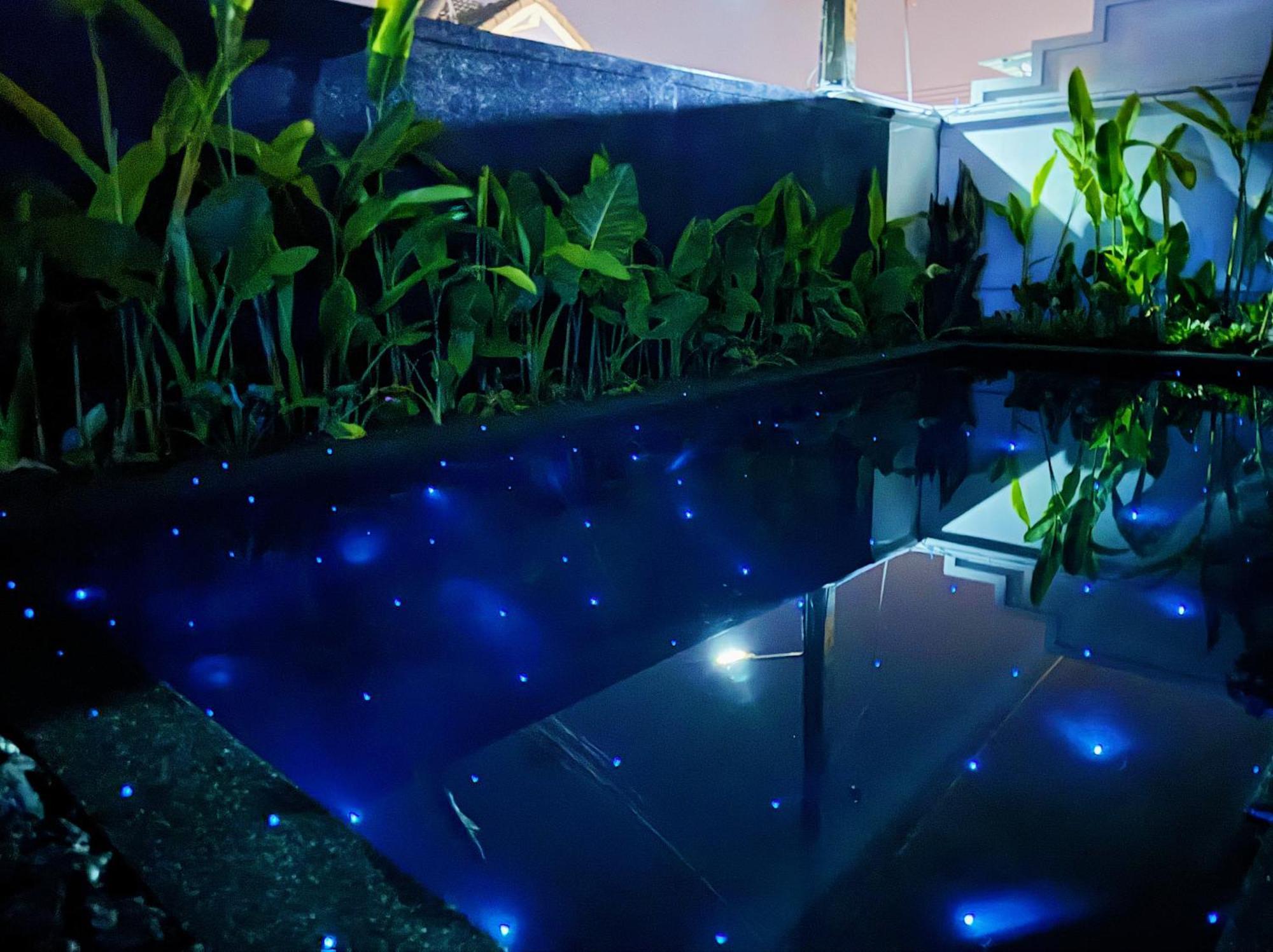 Contemporary 3bd Safari Near Nai Yang *