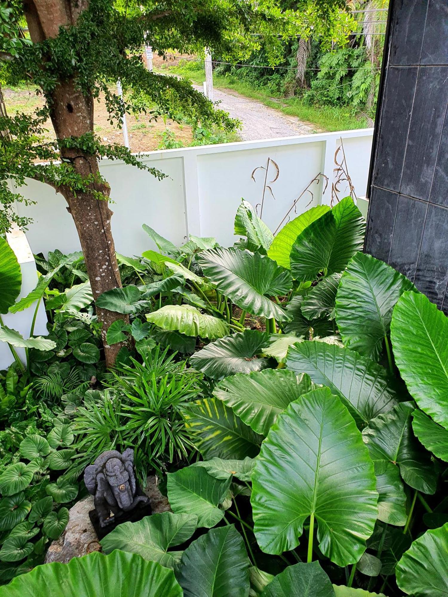 Luxury Beachfront 4 Bedroom Amana At Ta-ke A *