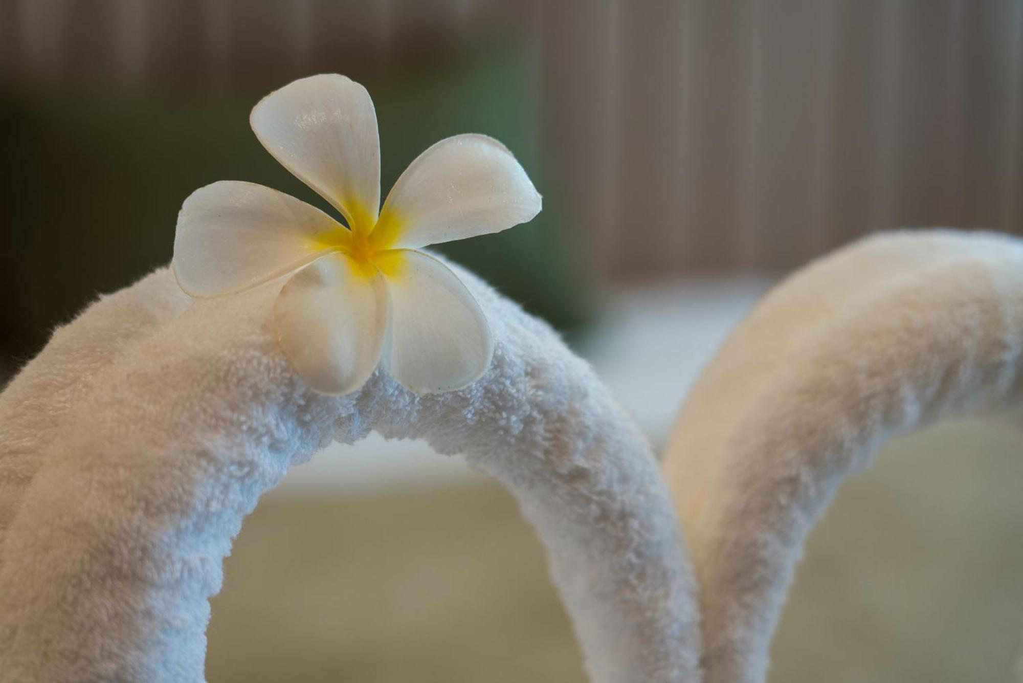 Resort Niranapa Boutique Kata Beach (Phuket)