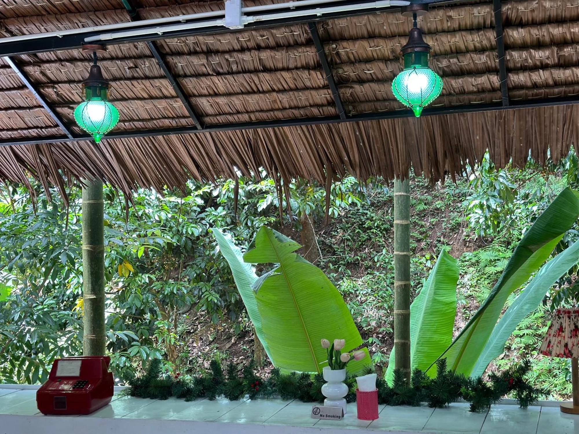 Bed & Breakfast Nua Tone & Cafe Bang Tao Beach (Phuket)