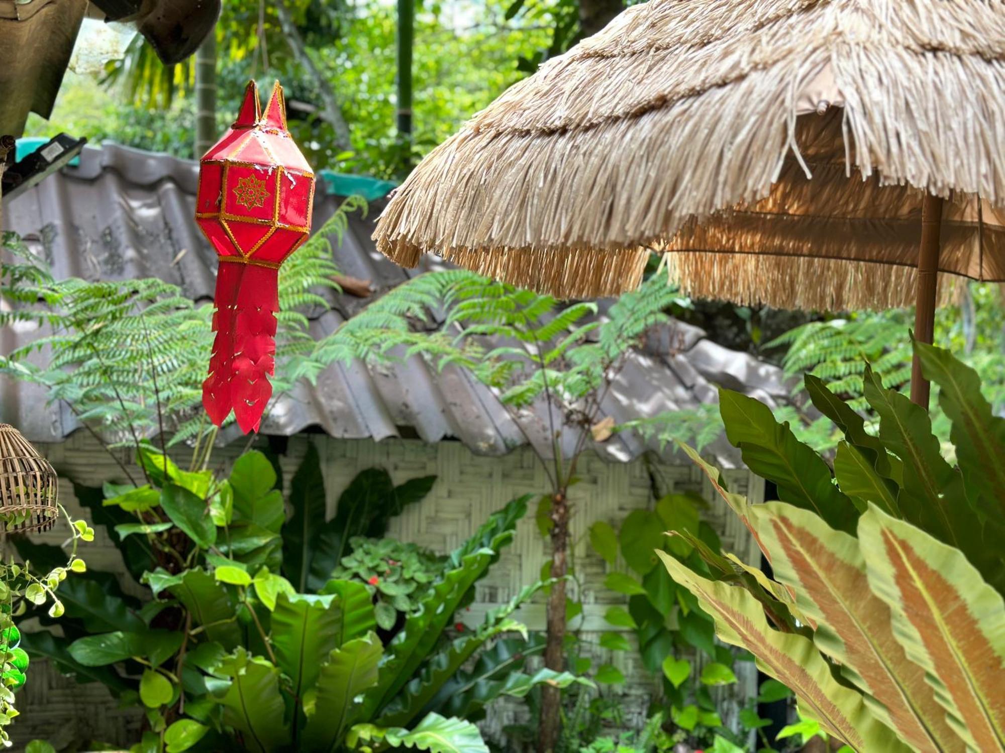 Nua Tone & Cafe Bed & Breakfast