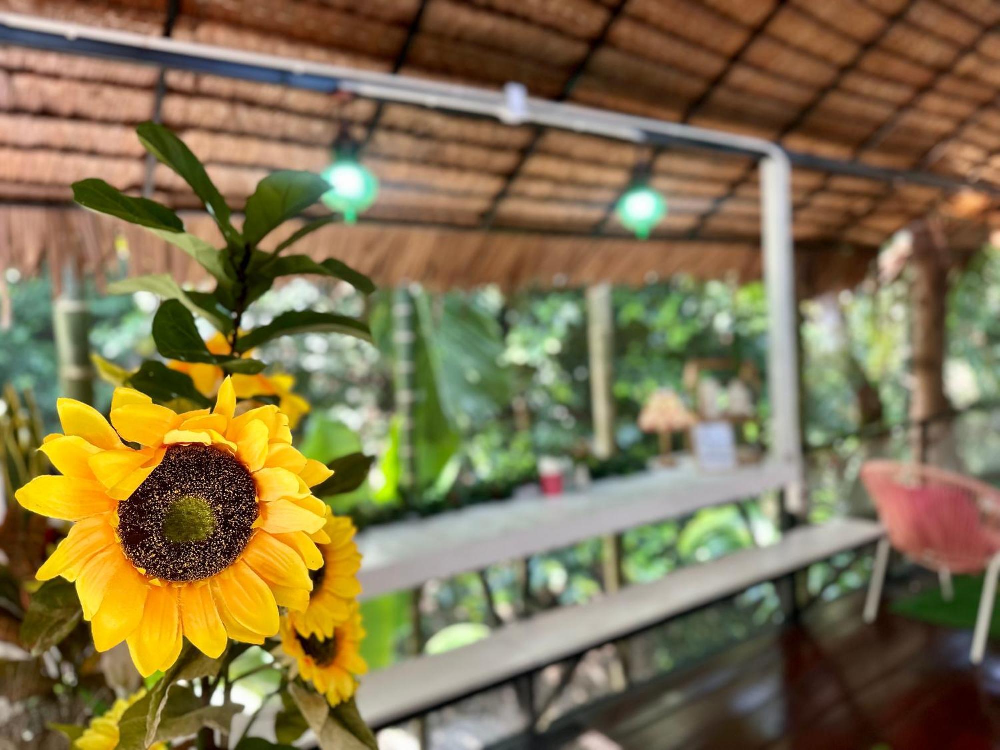 Nua Tone & Cafe Bed & Breakfast Bang Tao Beach (Phuket)