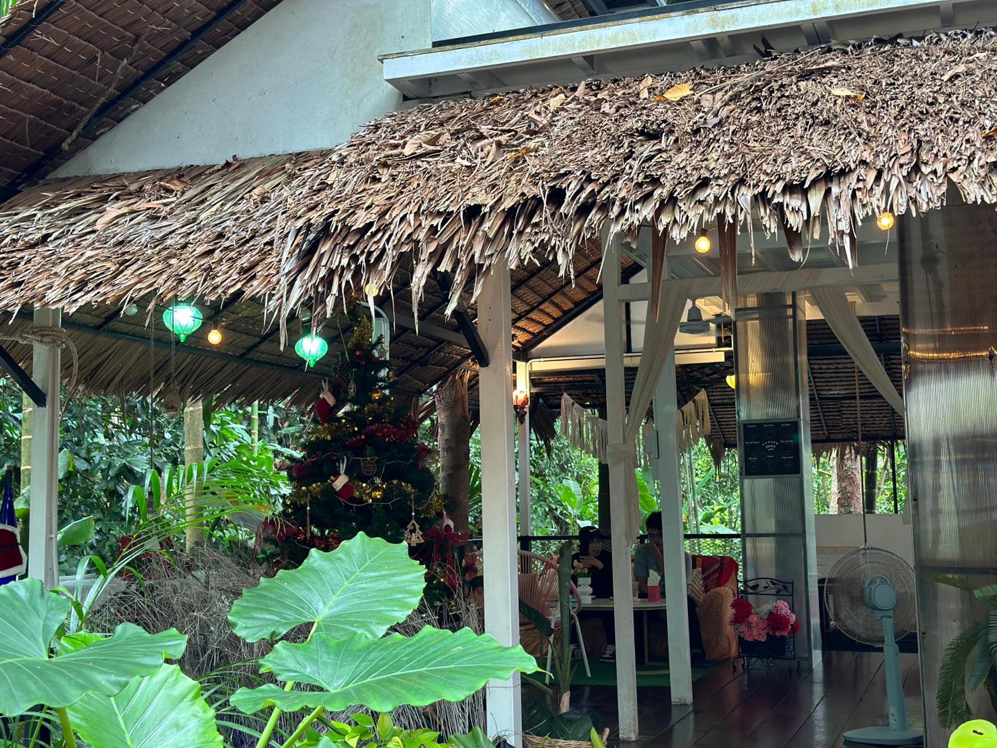 Nua Tone & Cafe Bang Tao Beach (Phuket)