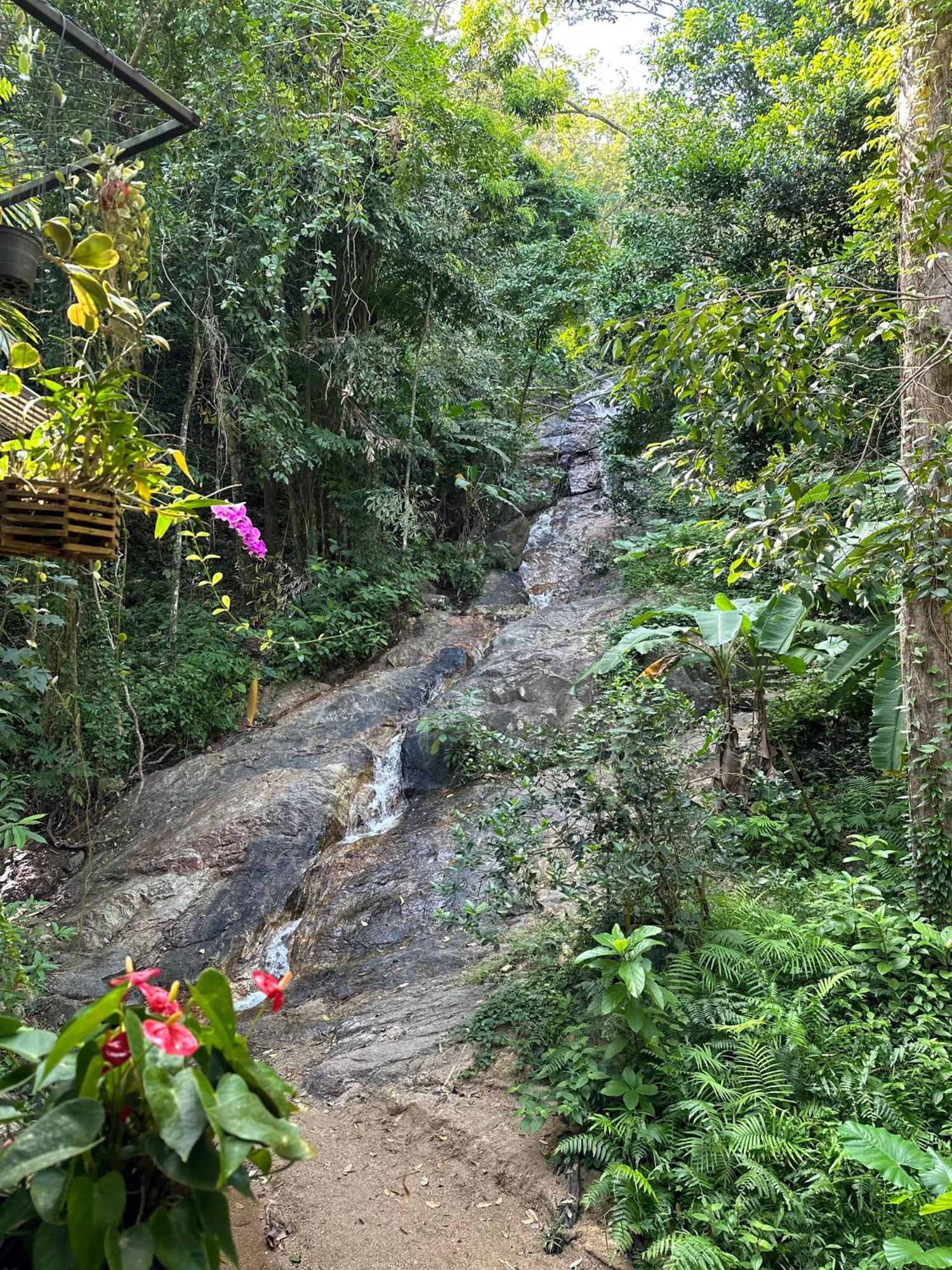 Nua Tone & Cafe Bed & Breakfast Bang Tao Beach (Phuket)