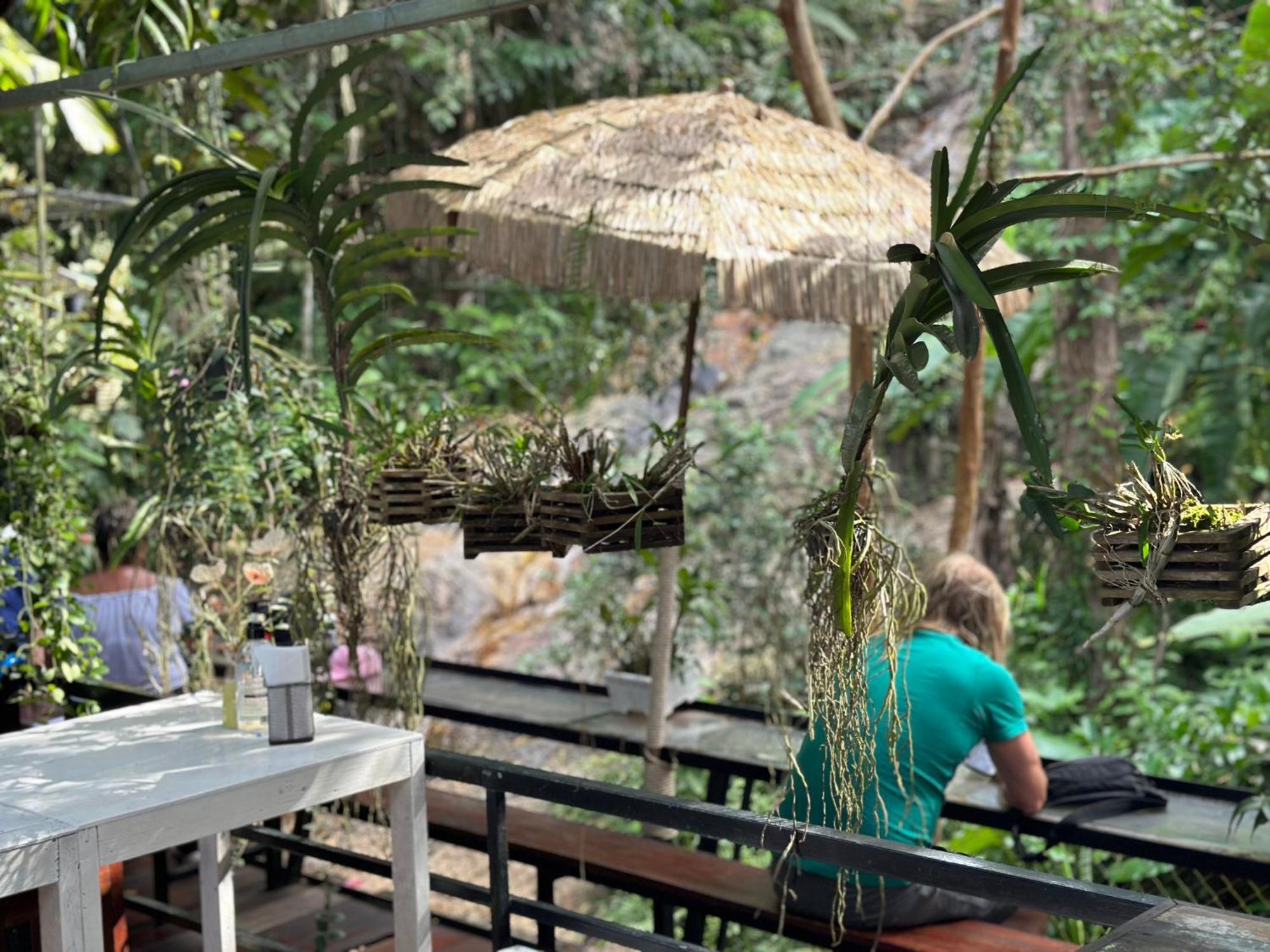 Nua Tone & Cafe Bed & Breakfast