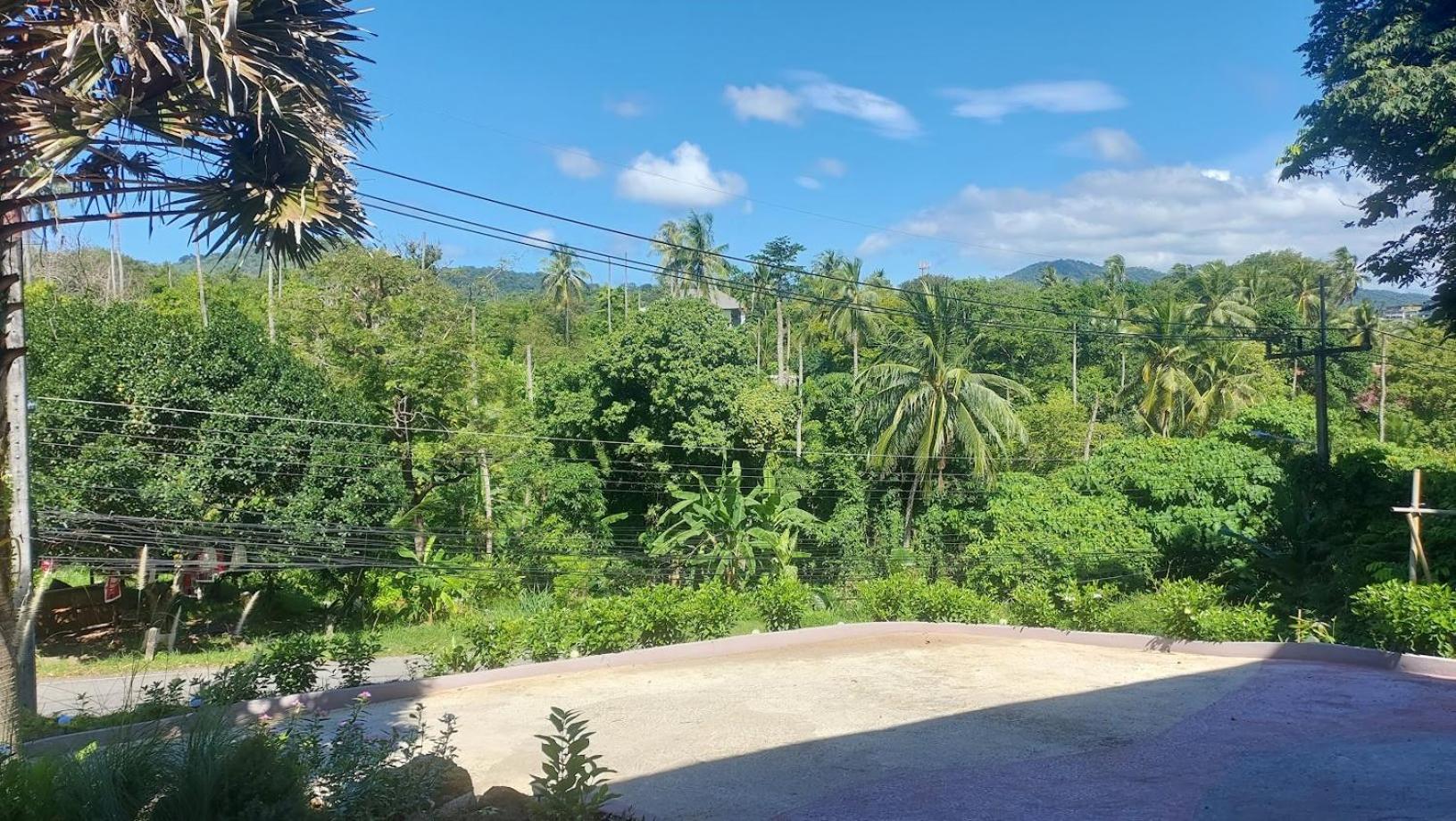Bali Nittaya