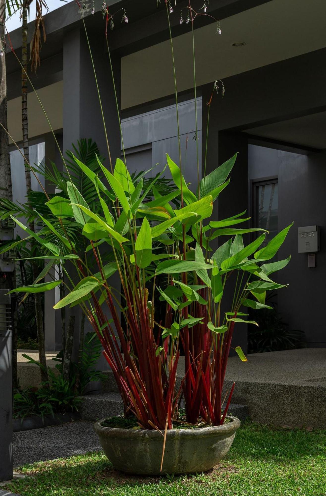 Villa Mios | Brand New 2 Bedroom Private Pool In Popular Onyx | 3 Min To Naiharn Nai Harn