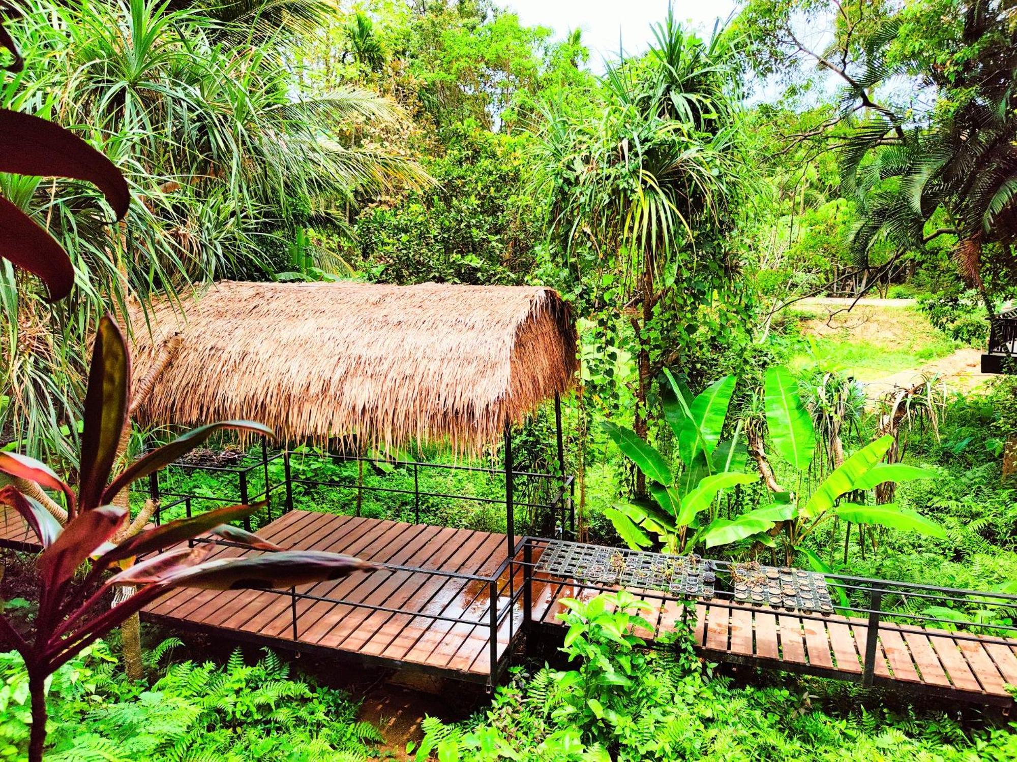 Hotel Phuket Jungle Experience
