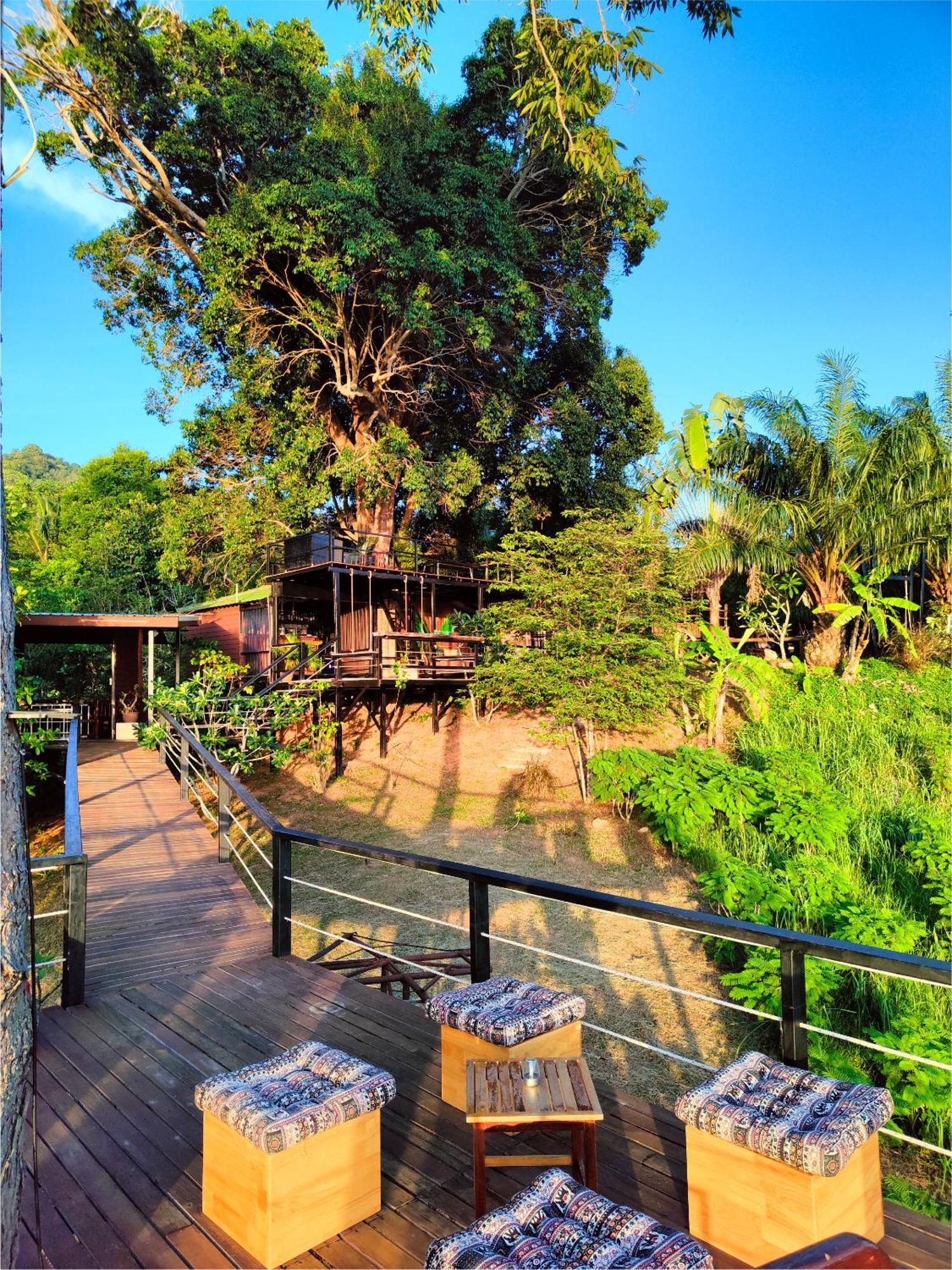 Phuket Jungle Experience Hotel