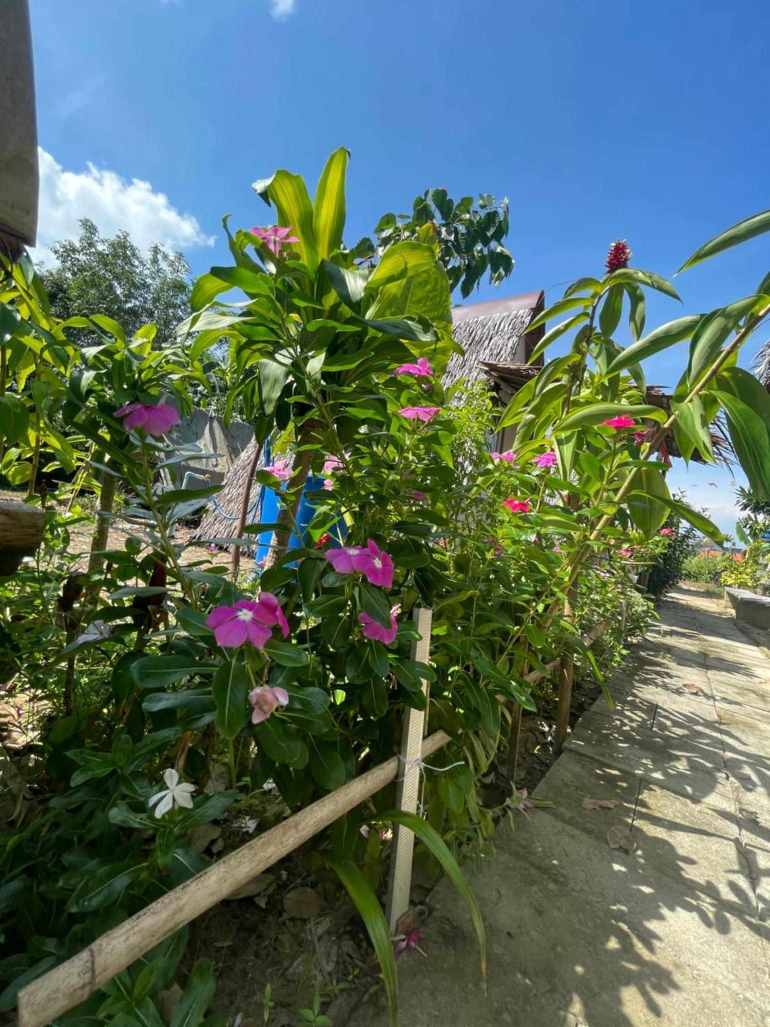 Phuketairportcamping Ban Bo Sai Klang