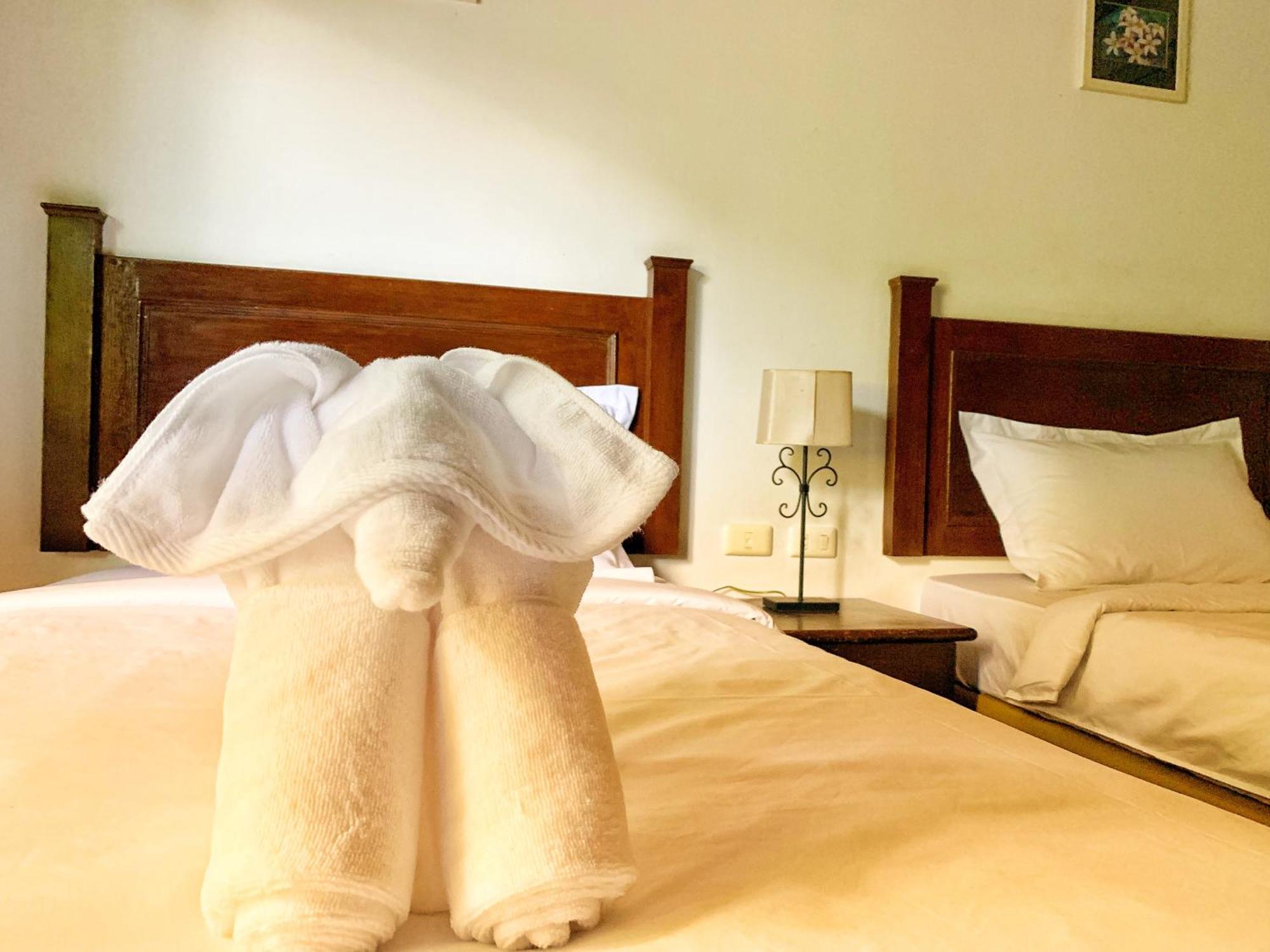 Accommodatie bij particulieren The Hill 芭东希尔酒店 Patong