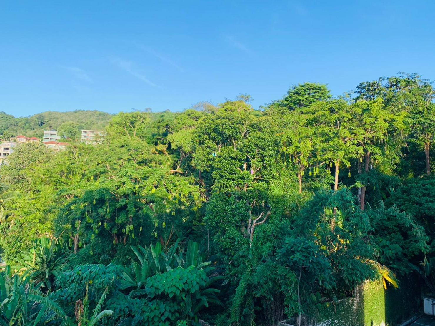 Hotel Ocean View Treasure Patong