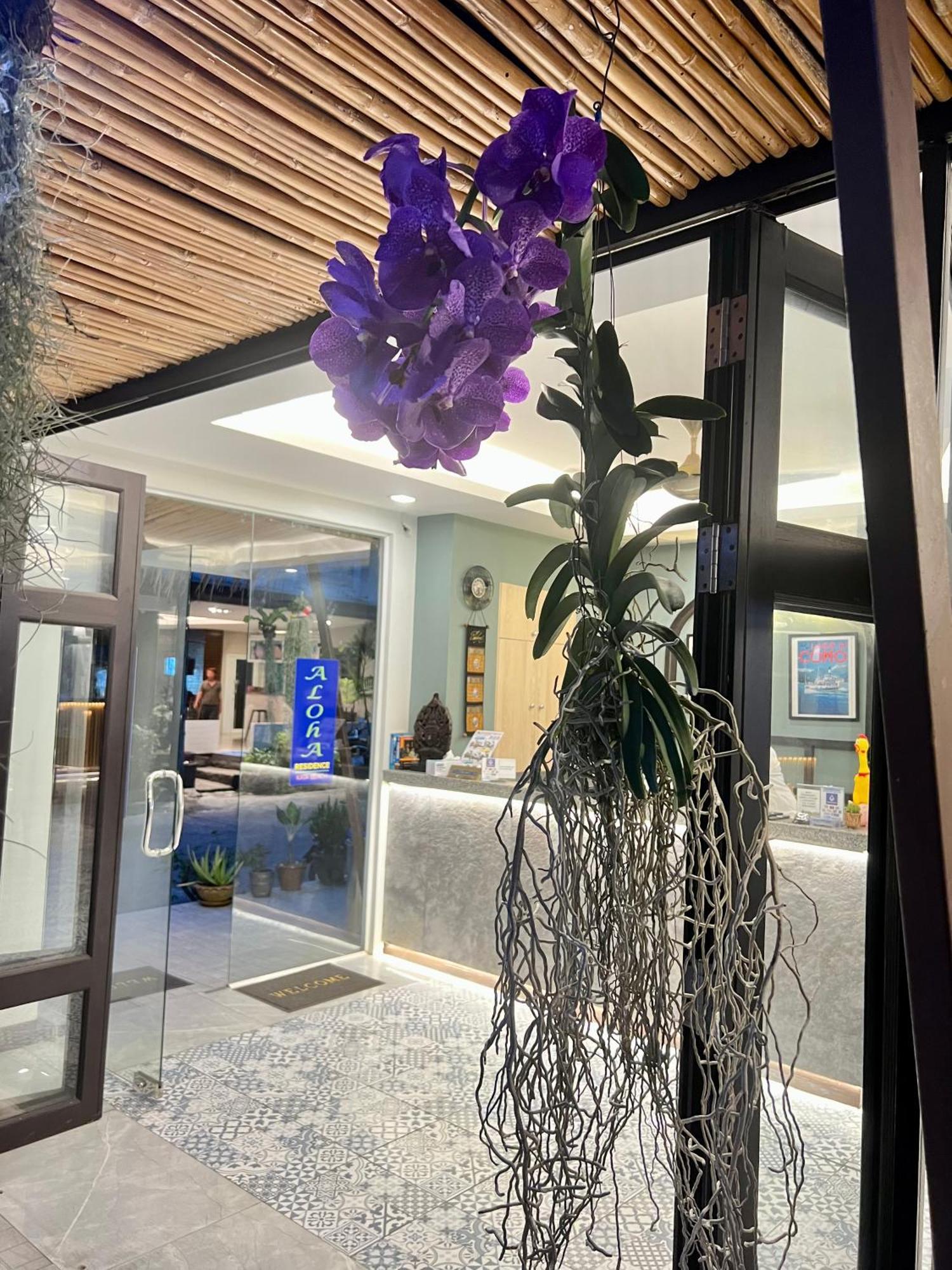 Hotel Aloha 3*