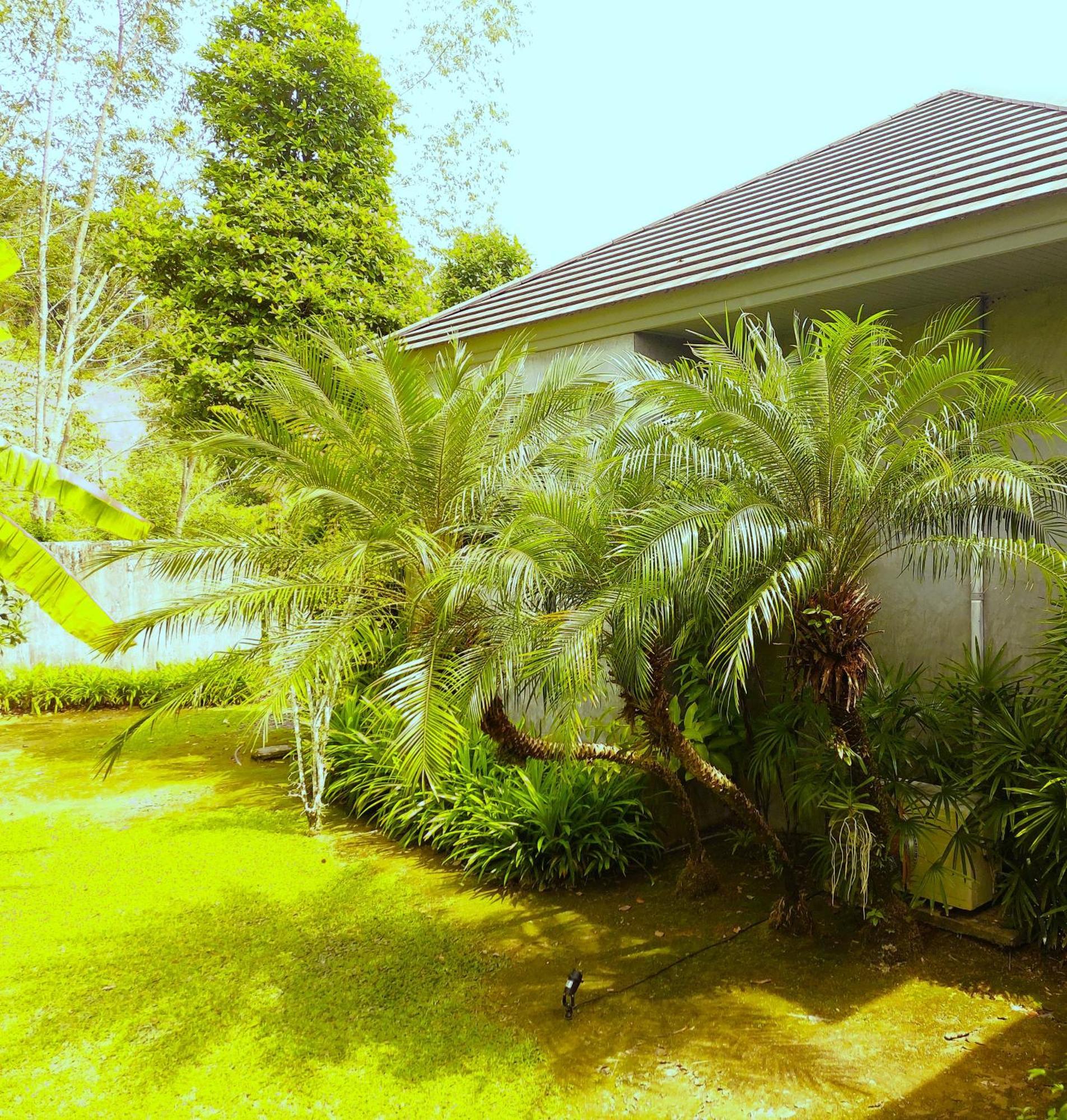 Villa Flora 5/6p Phuket