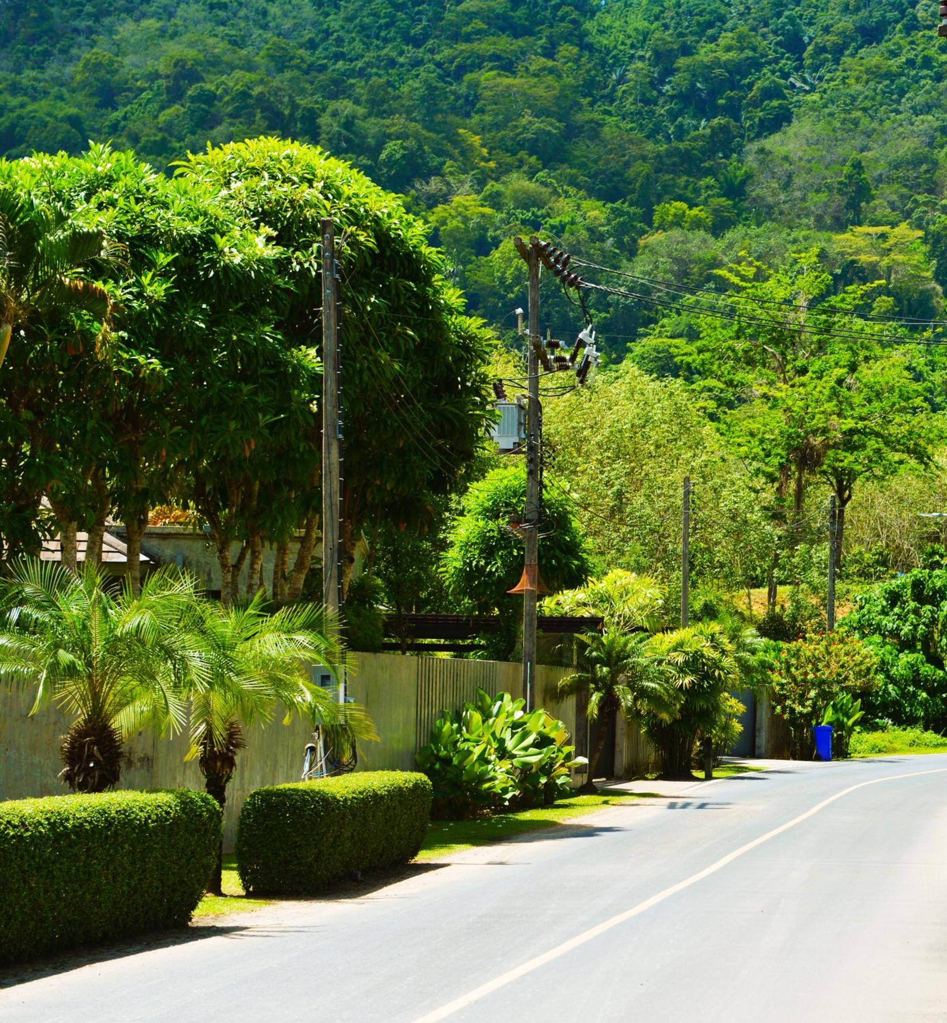 Villa Flora 5/6p