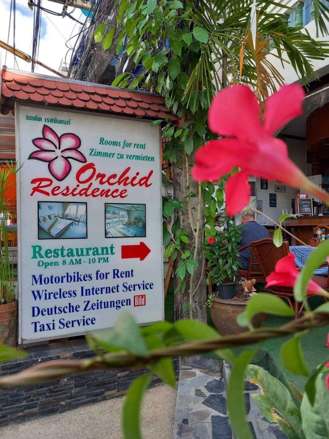 Orchid
