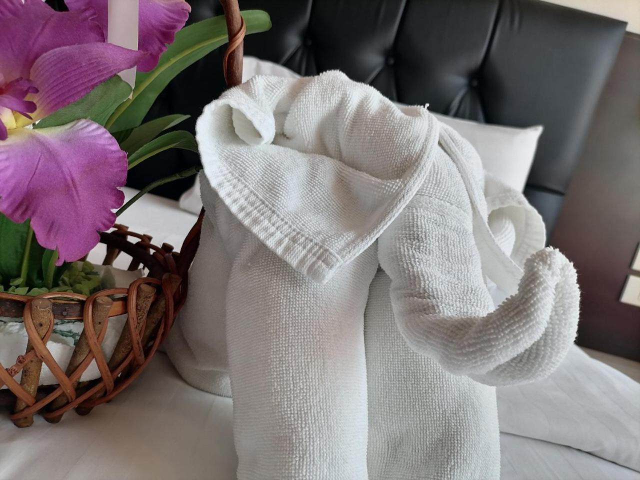 Guest house Amici Miei 3*