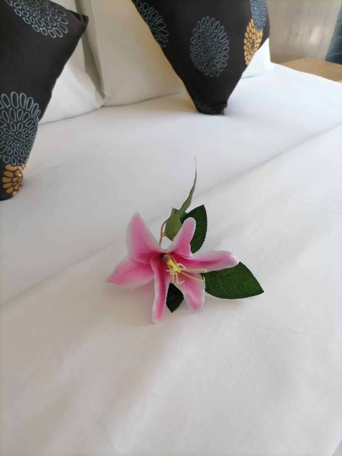 Hotel Nj 3*