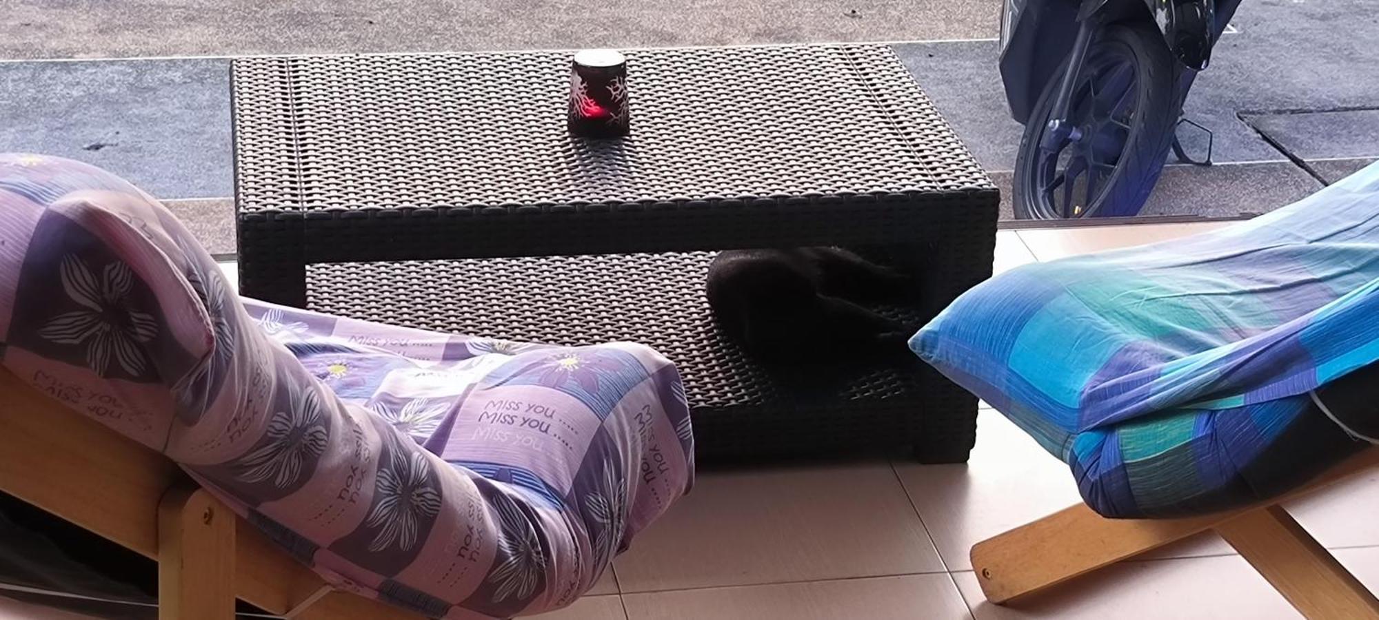 Kanpai Guest house