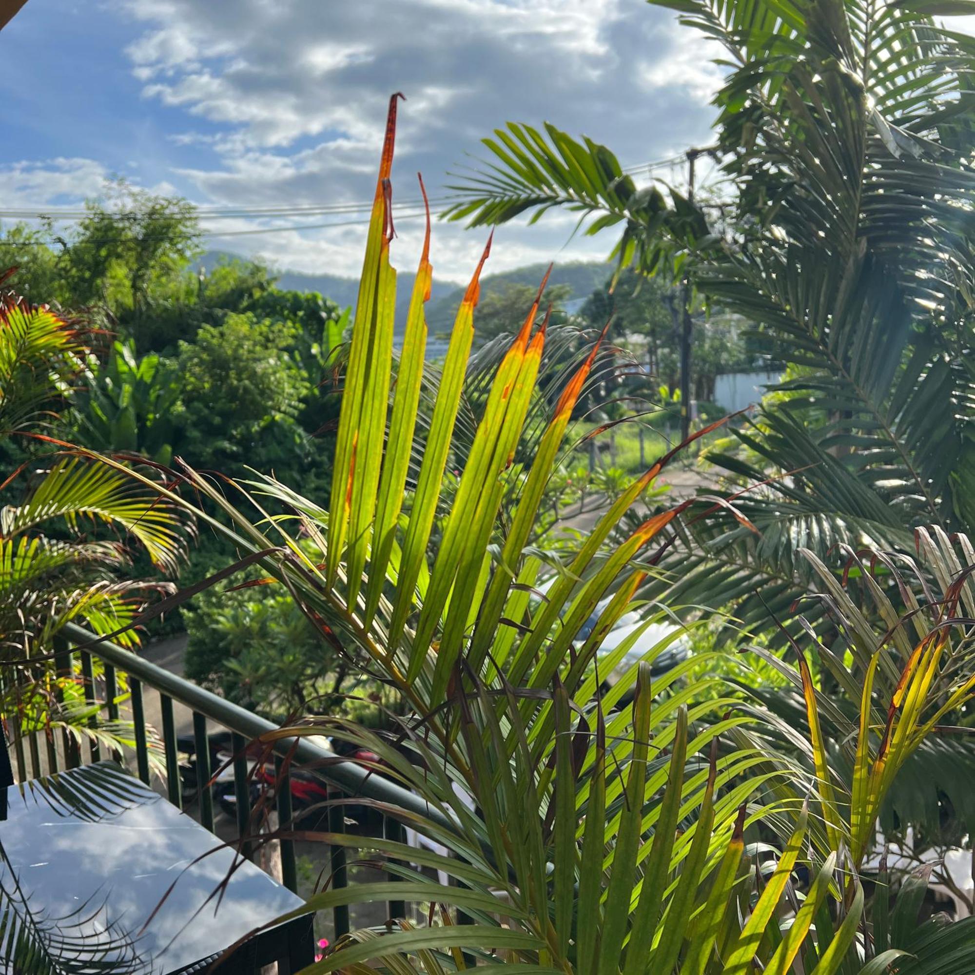 Hotel Kata Merit Hill 3*