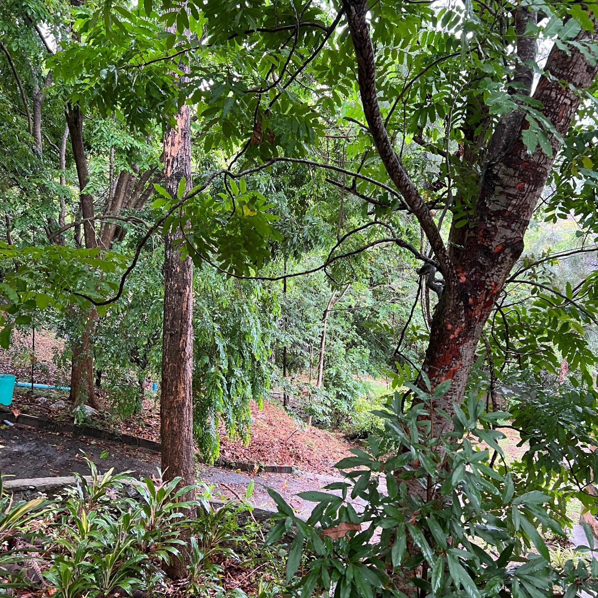 Kata Merit Hill Hotel