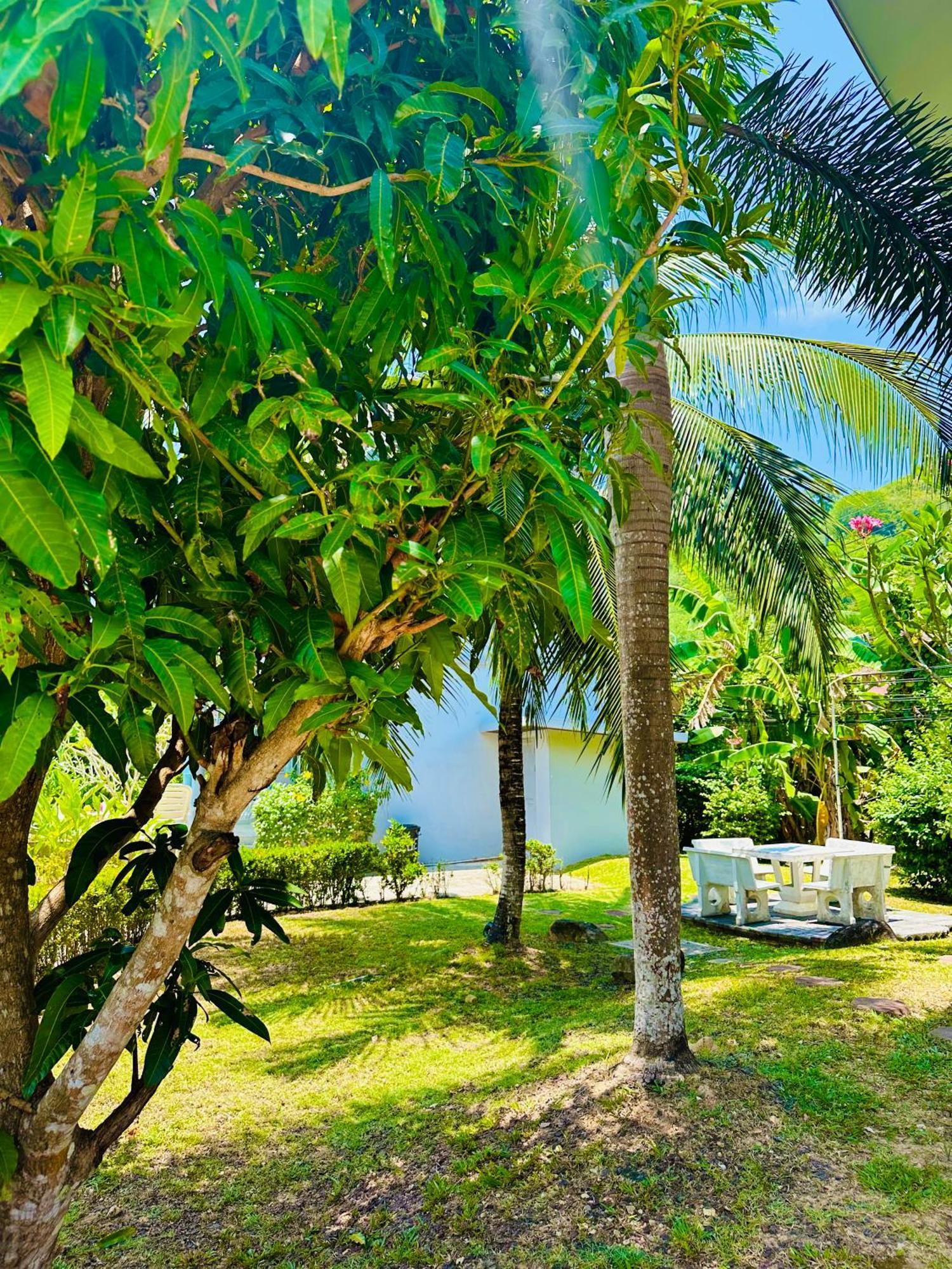 Peaceful Retreat By Nai Thon