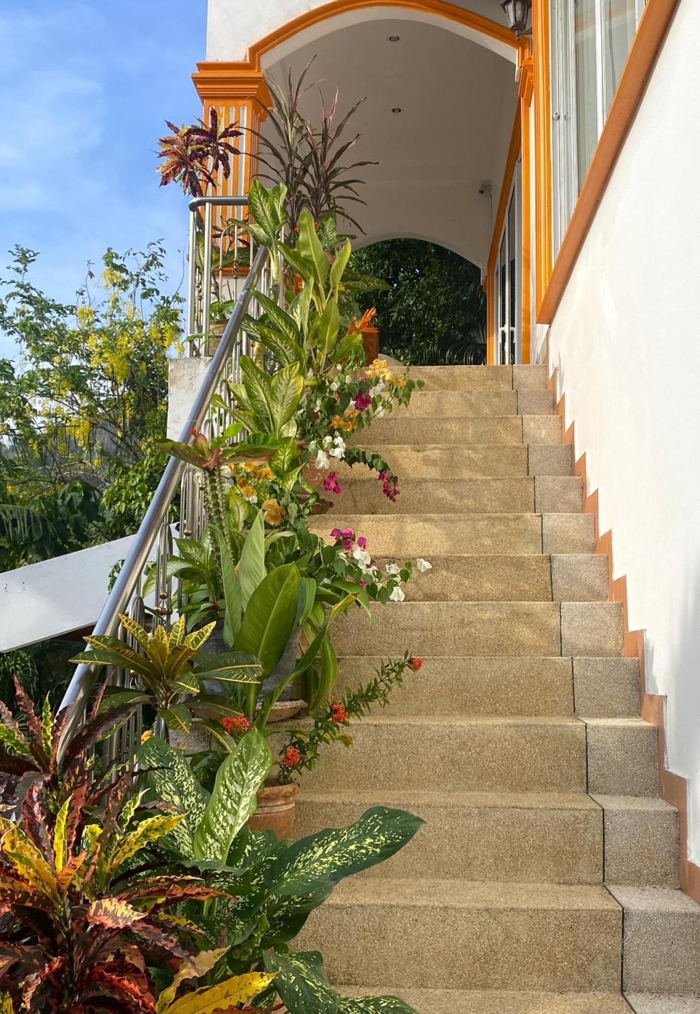Oasis & Villa