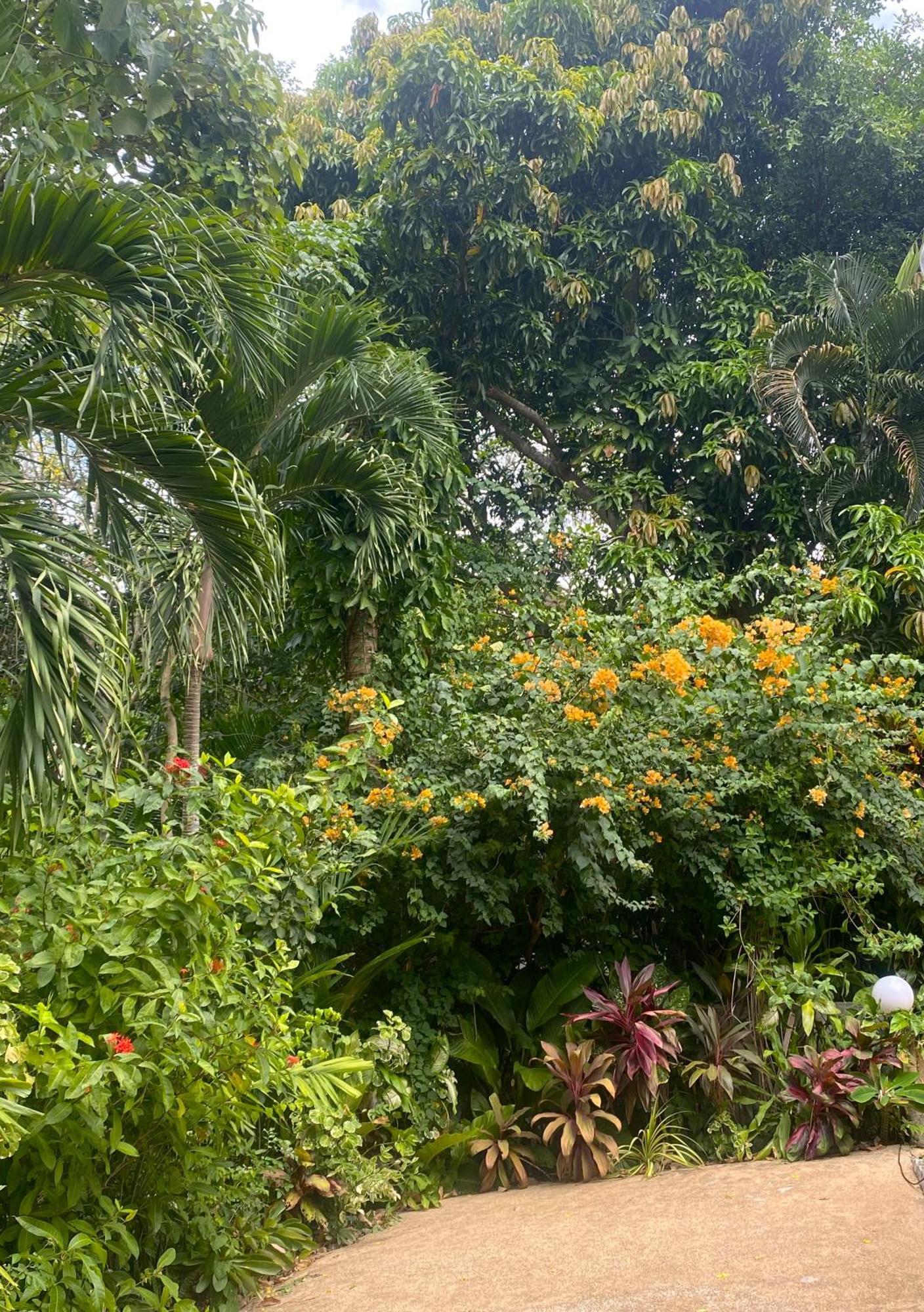 Oasis & Pousada