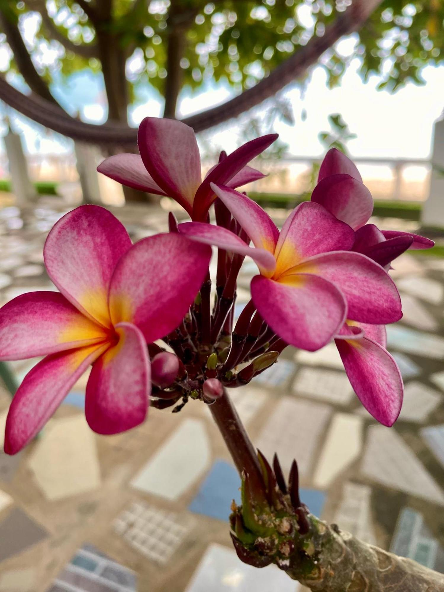 Sunset Beach Village - All Season Beach Retreat Inn *