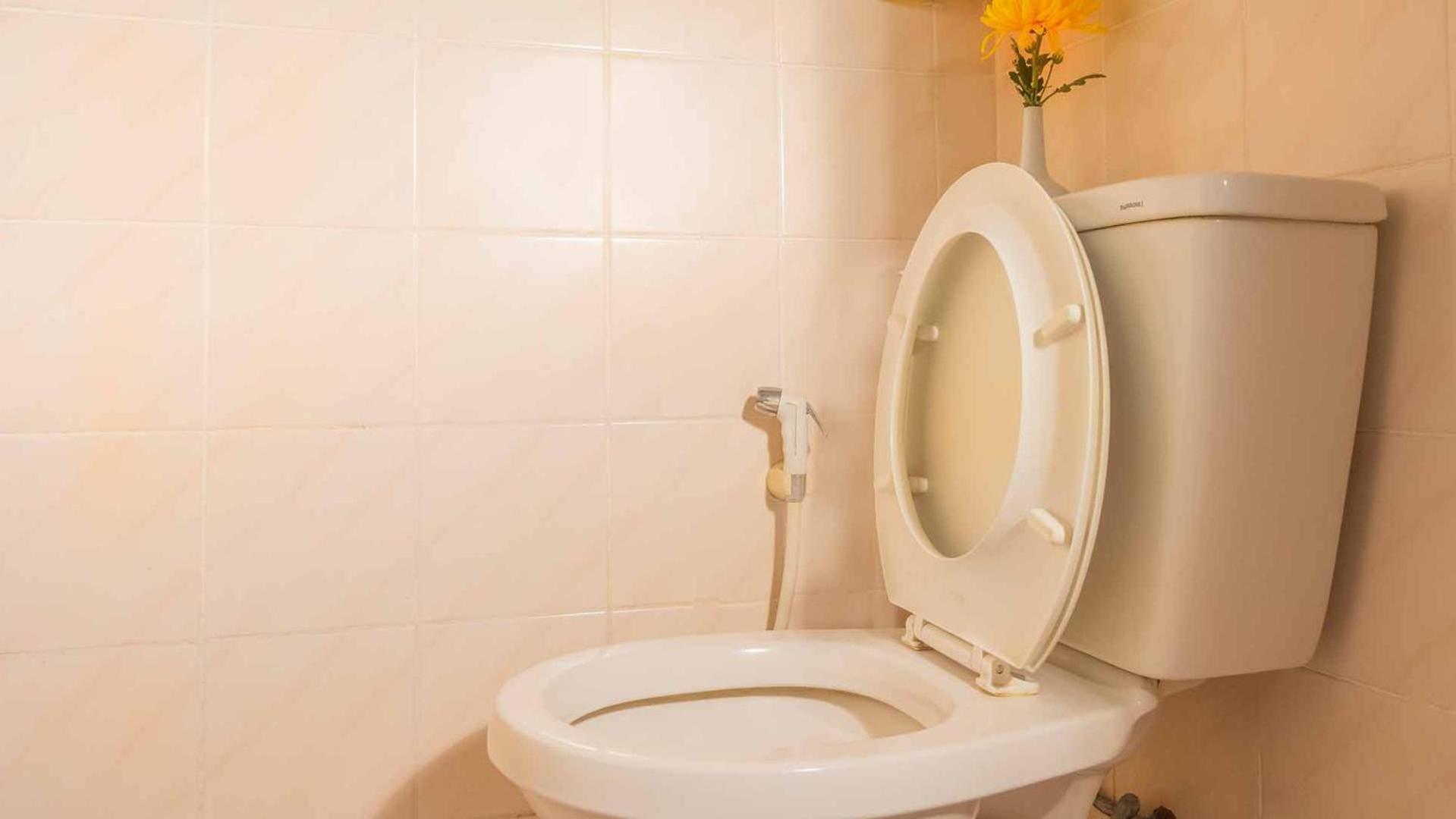 Sabina Guest house *