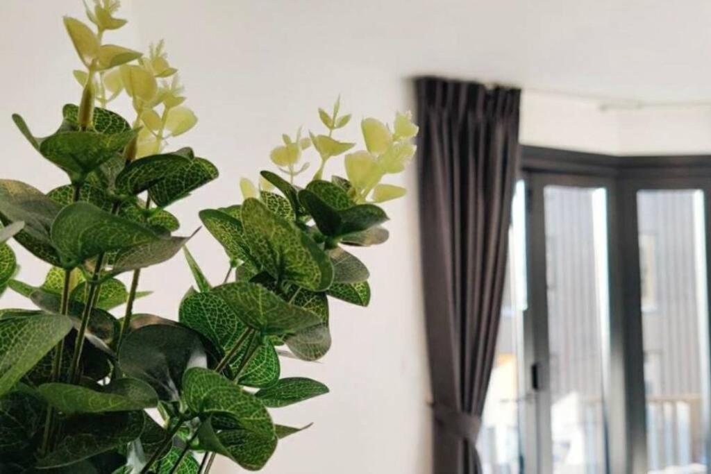 Apartment The Base Phuket Shopping Mall Festival *