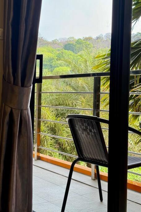 With Jungle And Pool View *